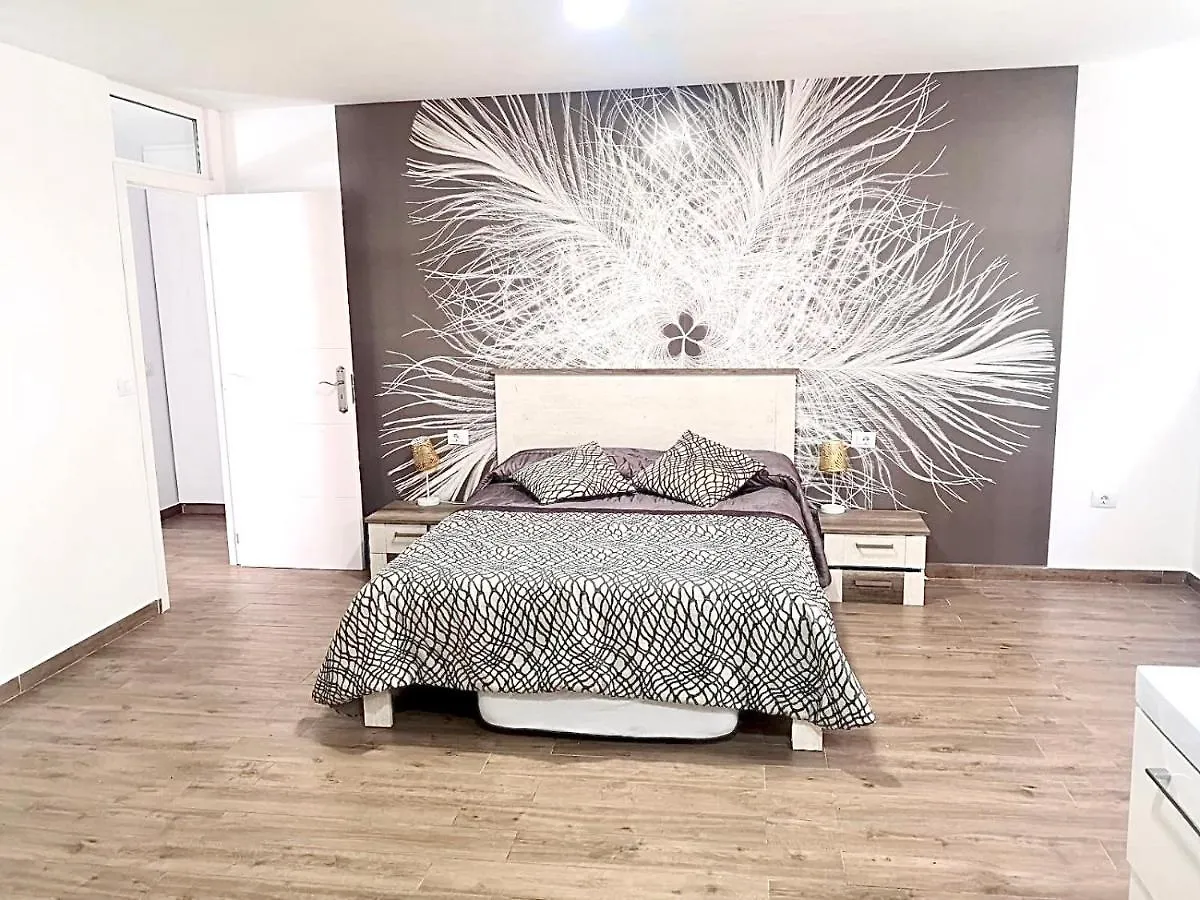 Beach Holiday Apartments kontakt